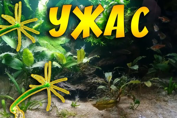 Ссылка на кракен тор kraken014 com
