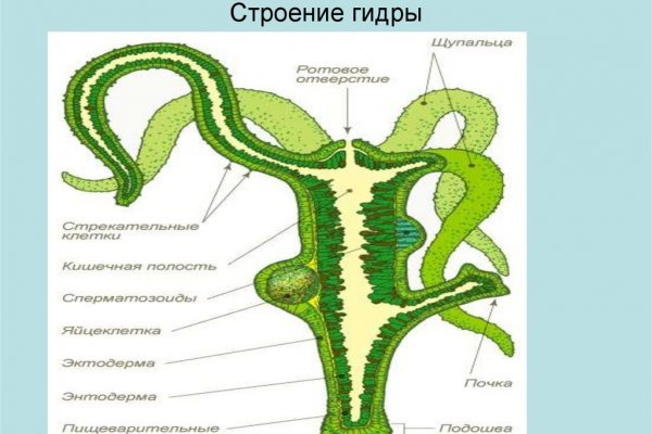 Кракен это современный даркнет маркет плейс